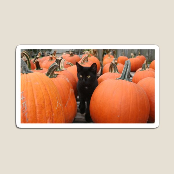 REDREAMING ALL HALLOWS Magnet