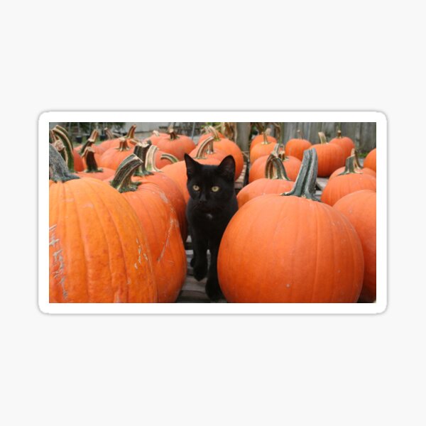REDREAMING ALL HALLOWS Sticker