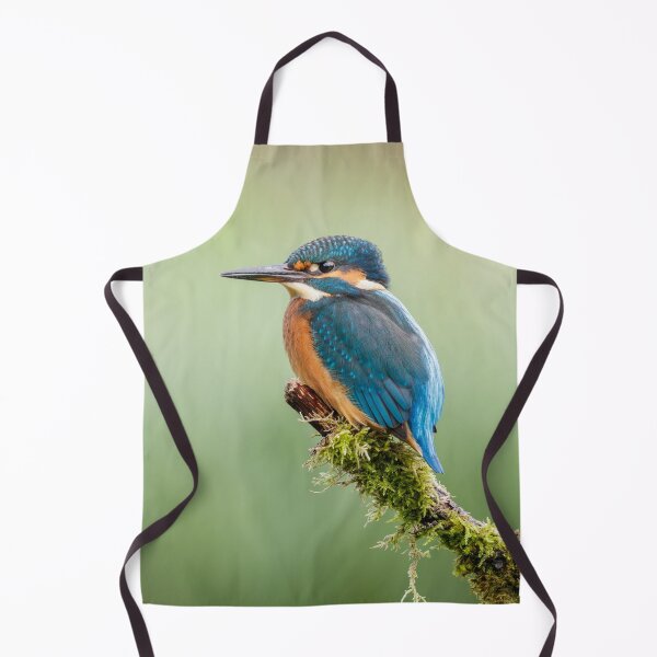 Item preview, Kingfisher Perched designed and sold by Alec Stewart.