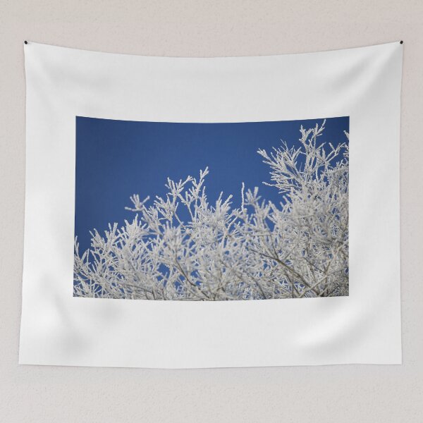 Item preview, The Corals of winter I designed and sold by sphotoseu.