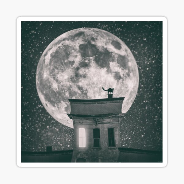 Cat by night - part one Sticker