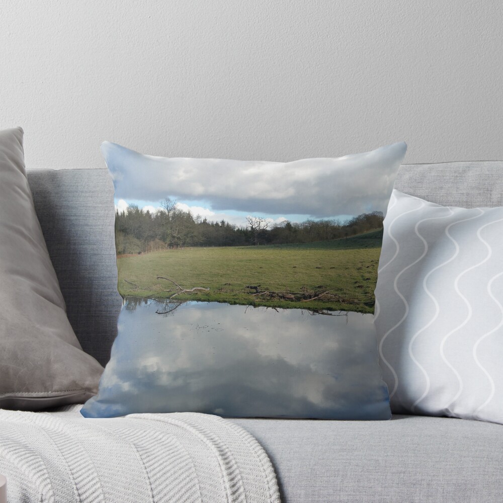 Item preview, Throw Pillow designed and sold by Hilly366.