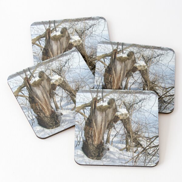 Item preview, Old tree stump designed and sold by Shulie1.
