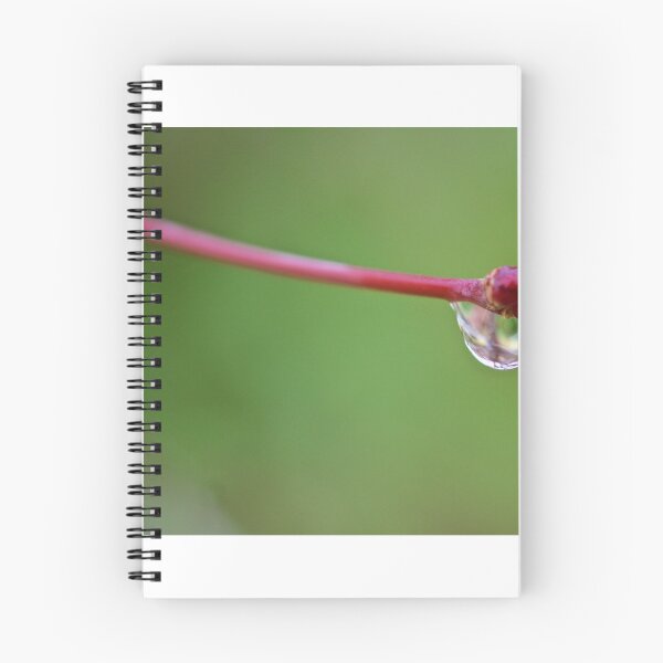 Item preview, Raindrop designed and sold by D-GaP.