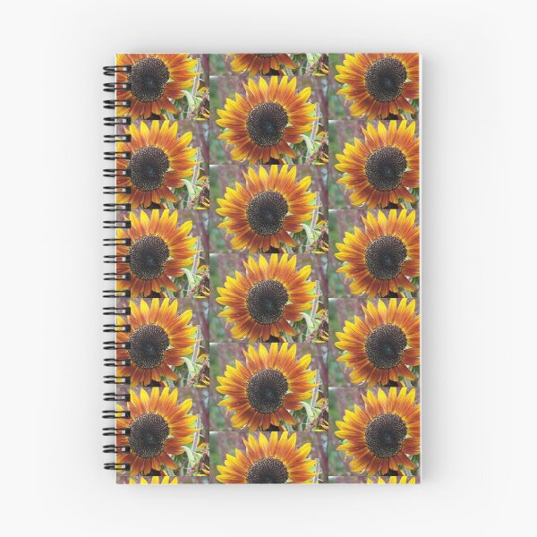 Artikelvorschau, Mehrfarbige Sonnenblume entworfen und verkauft von Patterns4Nature.