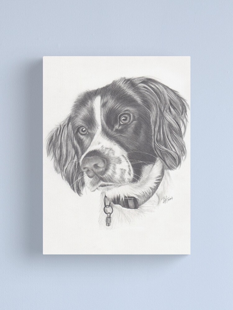 Alternate view of Springer Canvas Print
