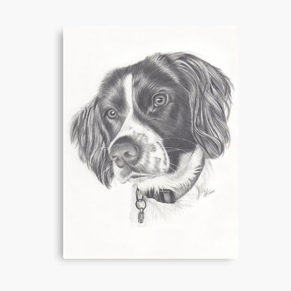 Springer Canvas Print