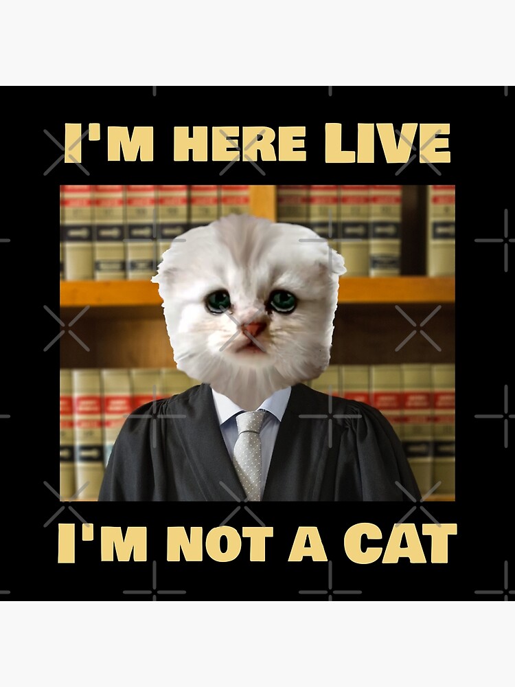I M Here Live I M Not A Cat Lawyer Funny Zoom Meme Cat Filter Fail Humor Greeting Card For Sale By Nikkihstokes Redbubble