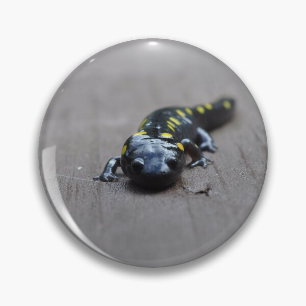 Item preview, Yellow Spotted Salamander  designed and sold by Theophanes Avery.