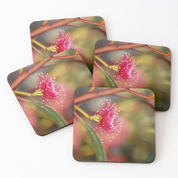 Item preview, Sun filtered Eucalyptus flower  designed and sold by imaginethis.