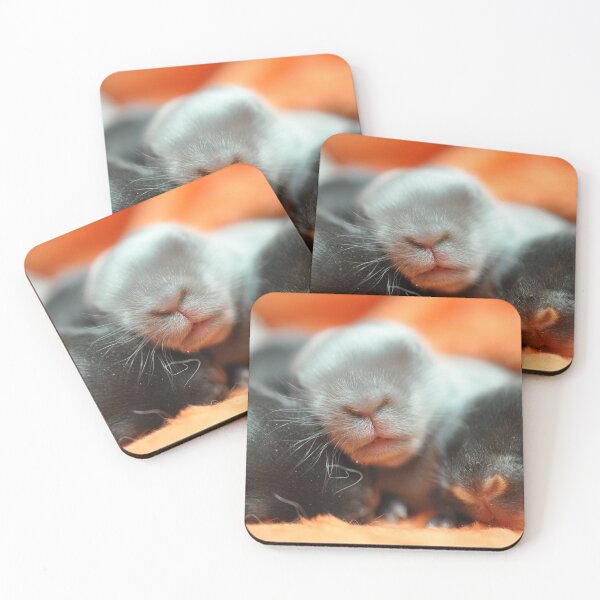 Item preview, Baby Bunnies designed and sold by Theophanes Avery.