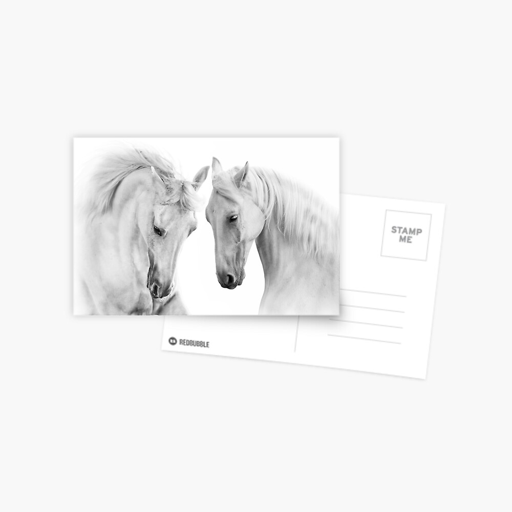  Grass Horse White Pony Cute Canvas Poster Bedroom