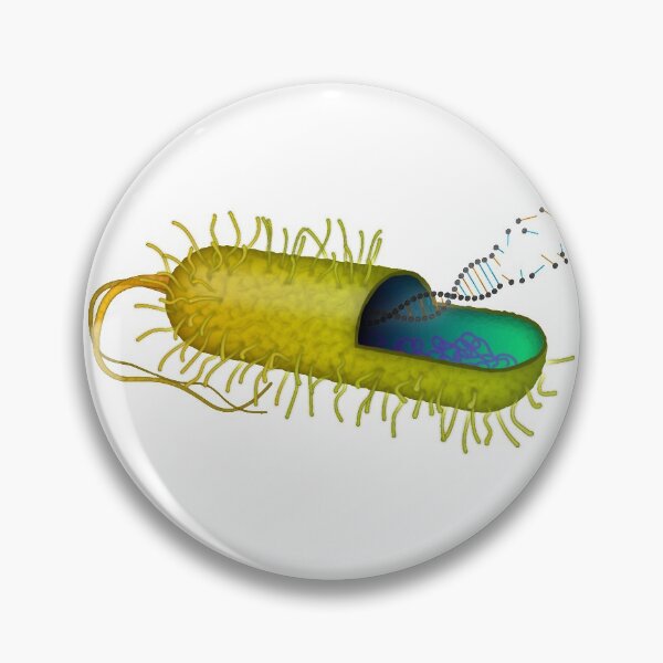 Item preview, Bacteria designed and sold by TheeMollusk.