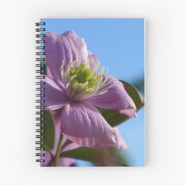 Item preview, Spring clematis against the evening blue designed and sold by Anna Myerscough.