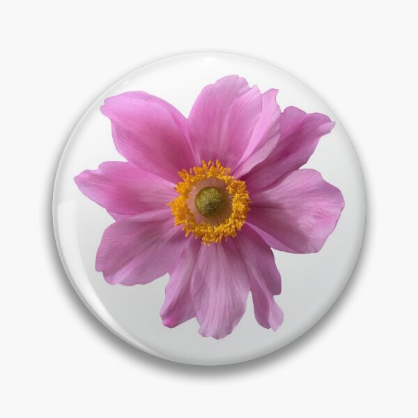 Item preview, Pink Flower Anemone Still Life Floral Photography designed and sold by CottoVerdi.