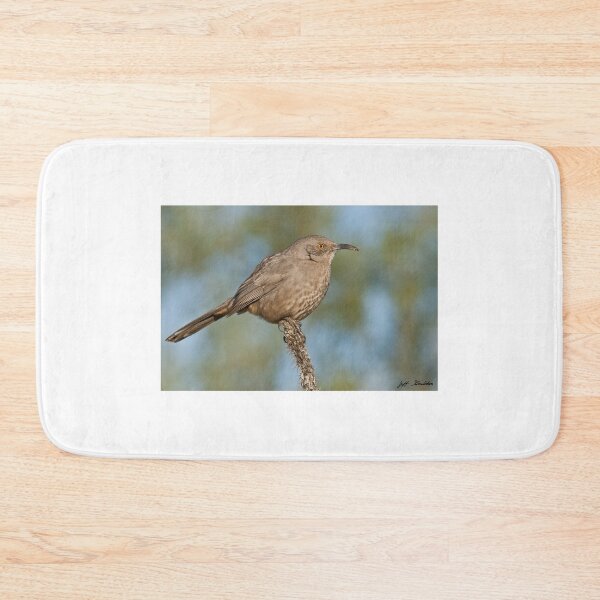 Item preview, Curve-Billed Thrasher designed and sold by Jeff Goulden Photography.