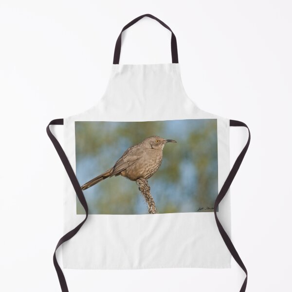 Item preview, Curve-Billed Thrasher designed and sold by Jeff Goulden Photography.