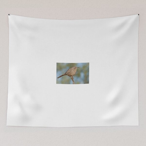 Item preview, Curve-Billed Thrasher designed and sold by Jeff Goulden Photography.