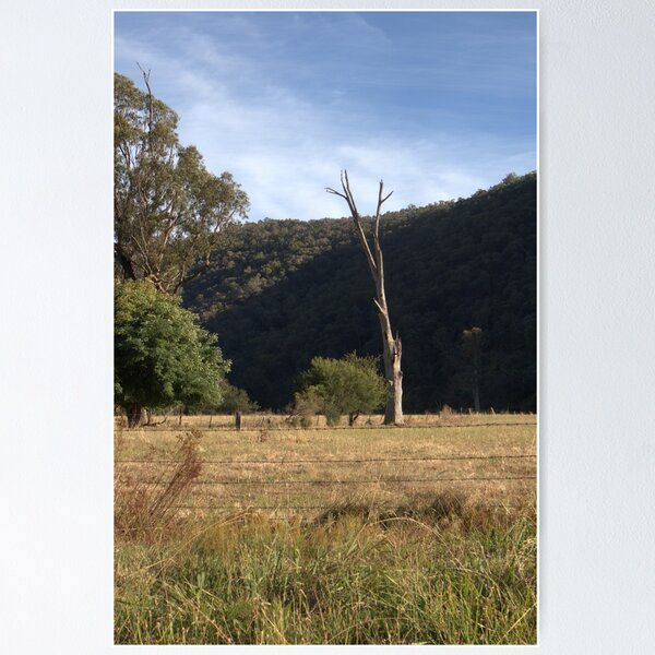 Item preview, Lone dead tree. designed and sold by ndarby1.
