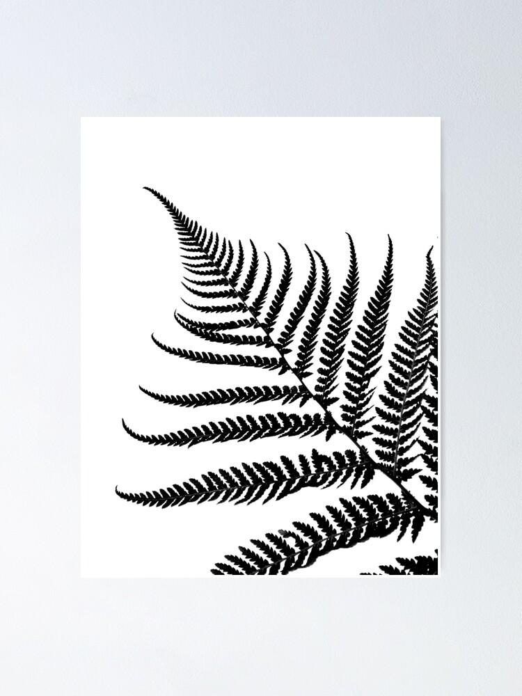 Large Individual Fern Leaf Wall Stencil