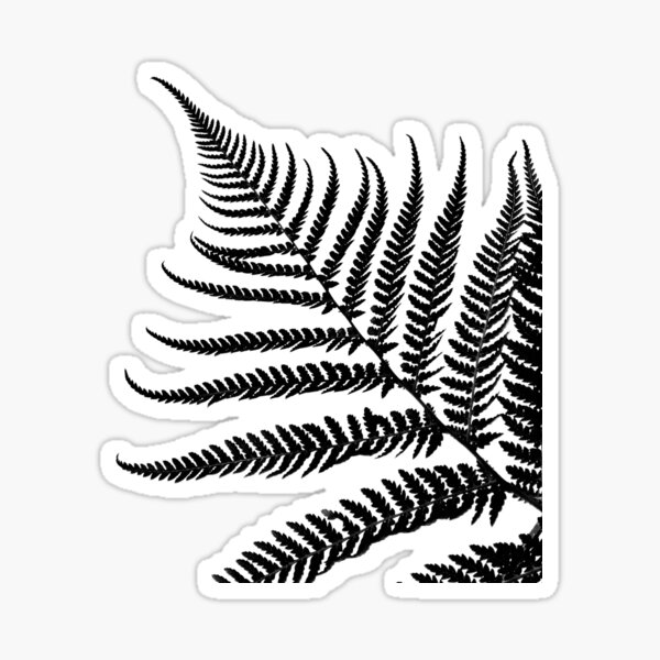 Item preview, Black and White Plant Artwork, Fern Leaf designed and sold by badlydrawnbabe.