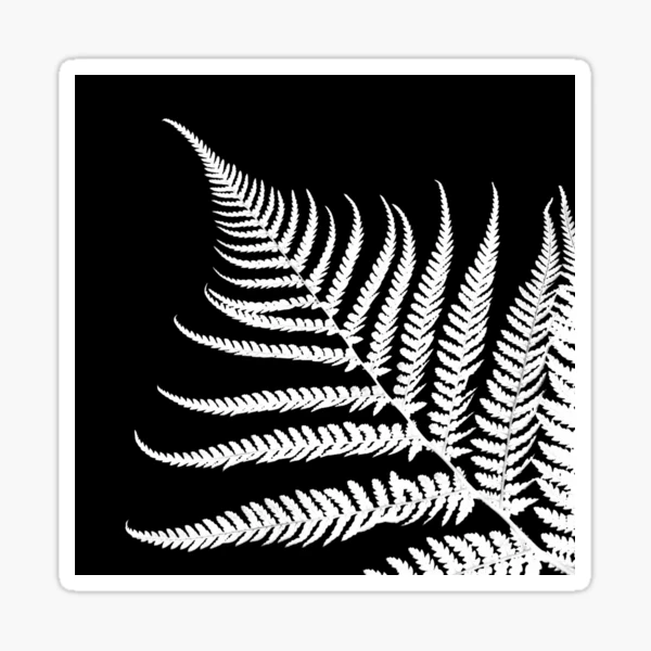 Large Individual Fern Leaf Wall Stencil