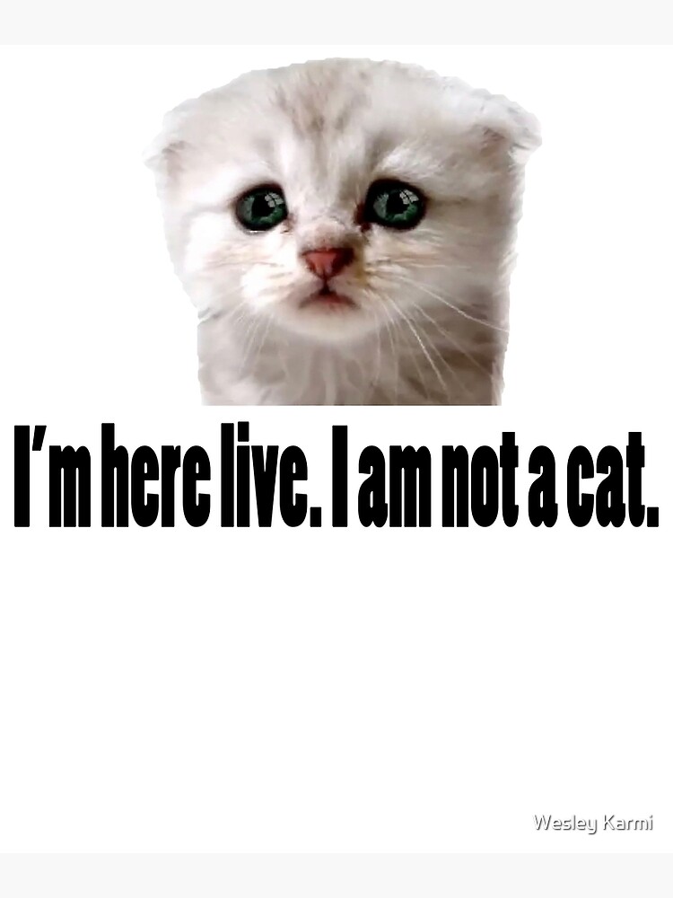 Funny I Am Not A Cat Viral Meme Art Print For Sale By Worldcut funny-i-am-not-a-cat-viral-meme-art-print-for-sale-by-worldcut