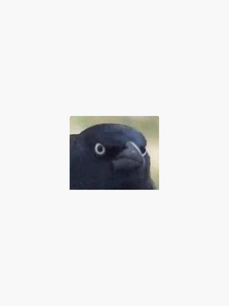 crow of judgment crow of judgment