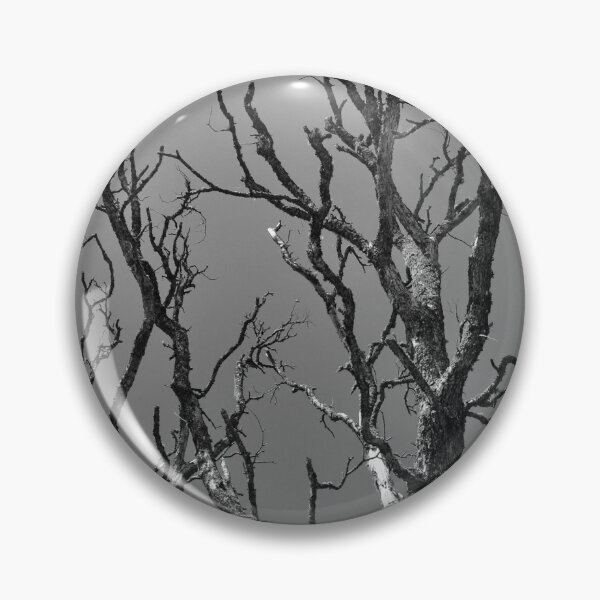 Item preview, Dead Tree against Sky designed and sold by Anthony Macaluso.
