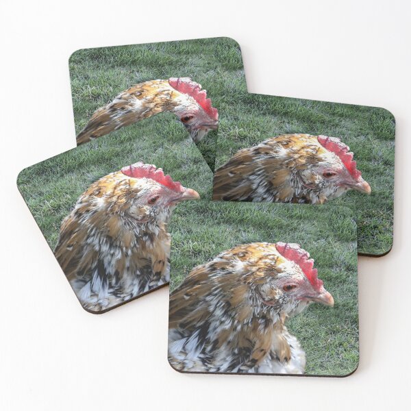 Item preview, Beautiful Free Range Chicken designed and sold by heatherfriedman.