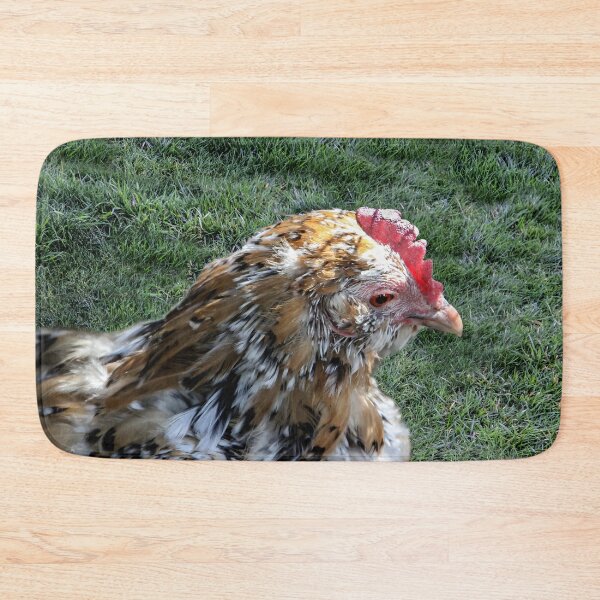 Item preview, Beautiful Free Range Chicken designed and sold by heatherfriedman.