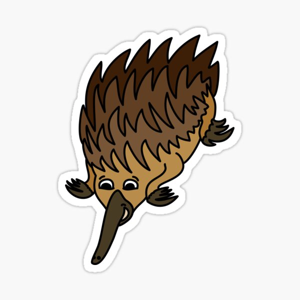 Echidna. Iconic Australian Animal coloured. Sticker