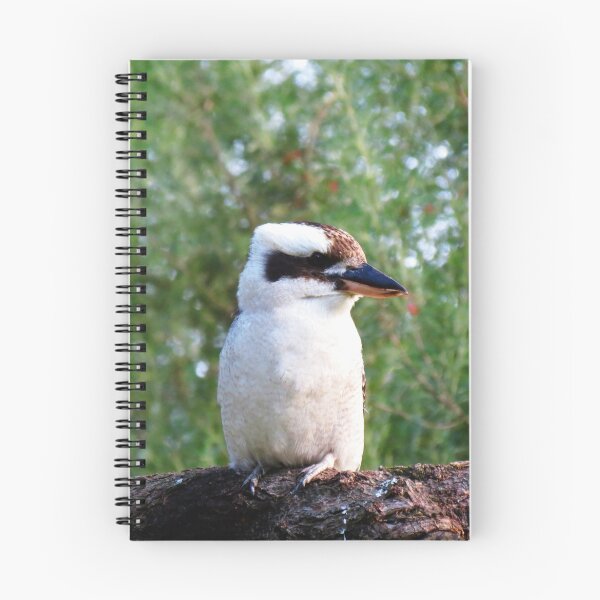 Aperçu de l'œuvre Kookaburra créée et vendue par Cindy Hitch.