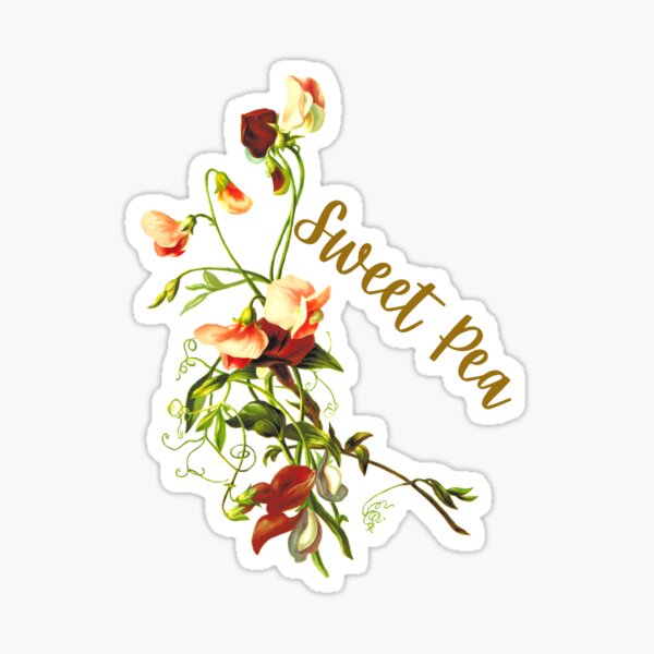 Item preview, Sweet Pea Still Life Floral Design designed and sold by silviaol.