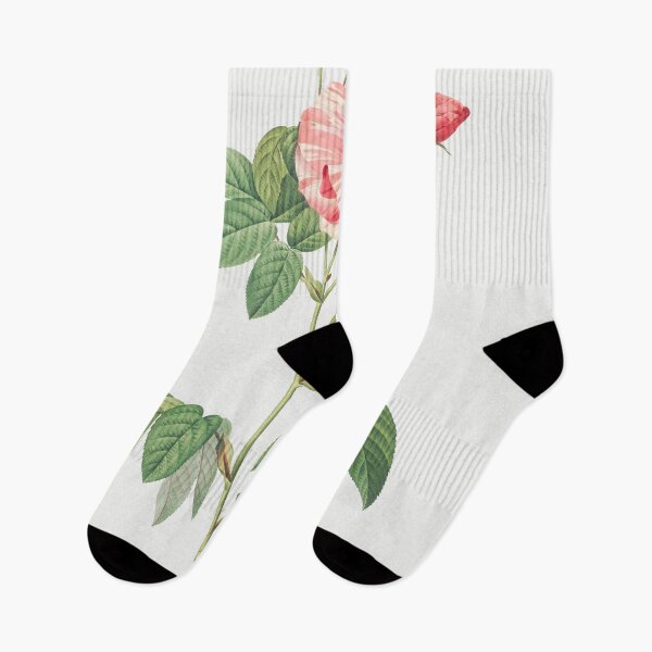 Item preview, Les Roses by Pierre-Joseph Redouté designed and sold by EsotericBotanic.