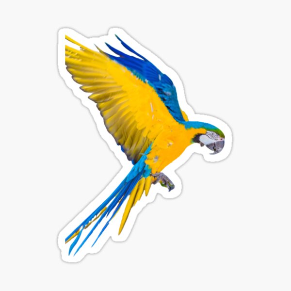 Blue+Gold Macaw Parrot Girls/Ladies Denim Purse Wallet Christmas Gift AB-PA10JW 
