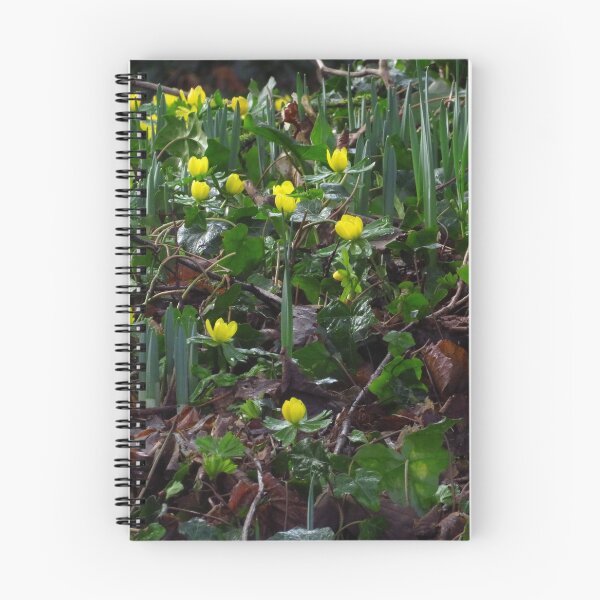 Item preview, Winter Aconites designed and sold by wiggyofipswich.