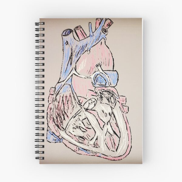 Item preview, Tetralogy of Fallot Anatomical Heart designed and sold by xxandraprince.