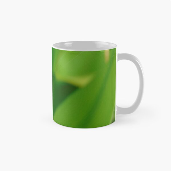 Item preview.
