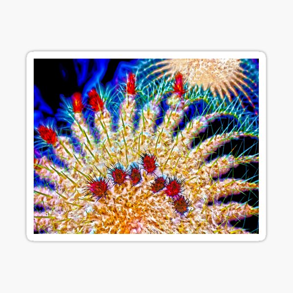 Color Me Cactus Sticker