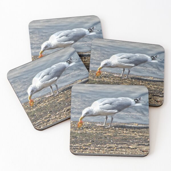 Item preview, Snacking Seagull designed and sold by JMVisuals28.