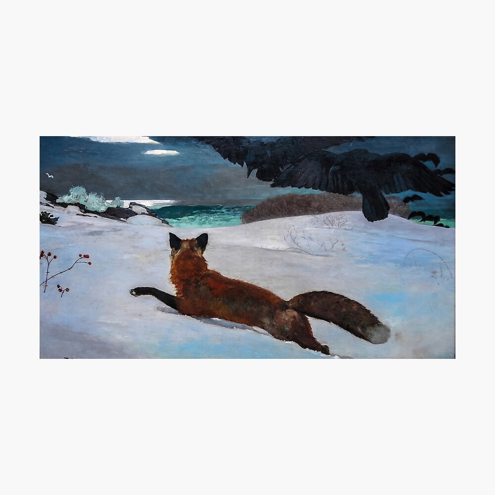 winslow homer fox