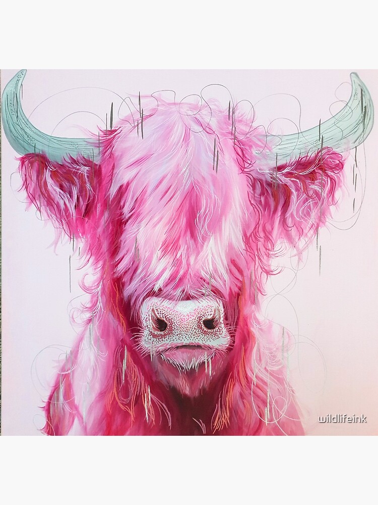 "Candy floss highland cow pink cow" Photographic Print by wildlifeink