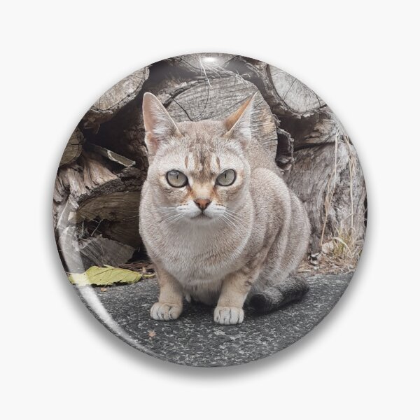 Item preview, Speedball sitting with logs designed and sold by Cat-yawns.