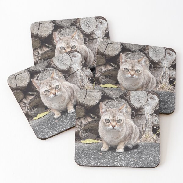 Item preview, Speedball sitting with logs designed and sold by Cat-yawns.