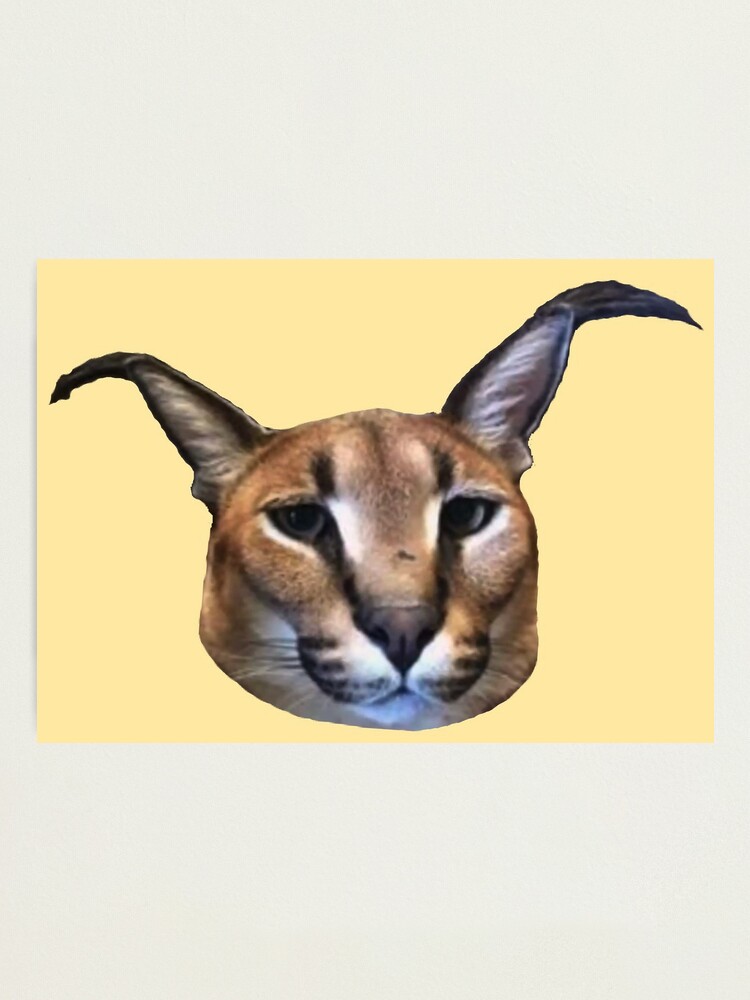 Big Floppa Meme Cute Caracal Cat: Plain Lined Journal Notebook, 120 Pages,  Medium 6 x 9 Inches, Printed Cover