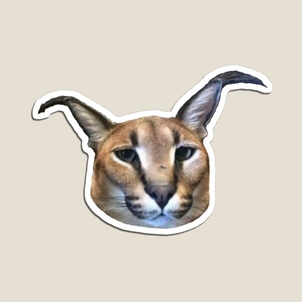 meow #cat #caracal #floppa #bigfloppa #animal #catsoftiktok #funny #cu, caracal