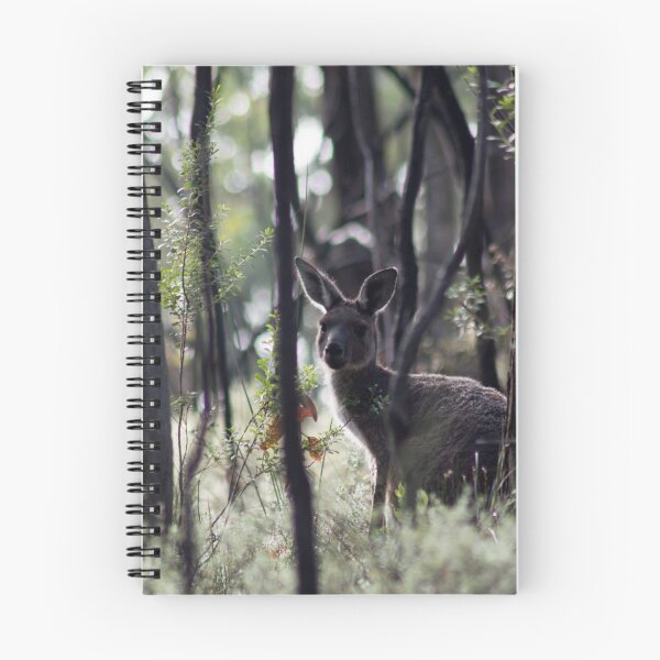 Item preview, Kangaroo on Mt. Lofty, Adelaide  designed and sold by Lauren Shawyer.