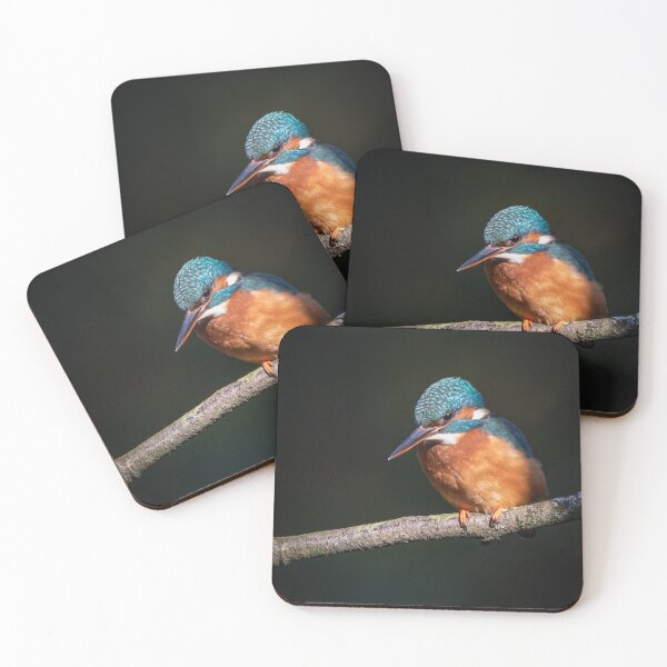 Item preview, Common Kingfisher designed and sold by Steve Liptrot Photography.