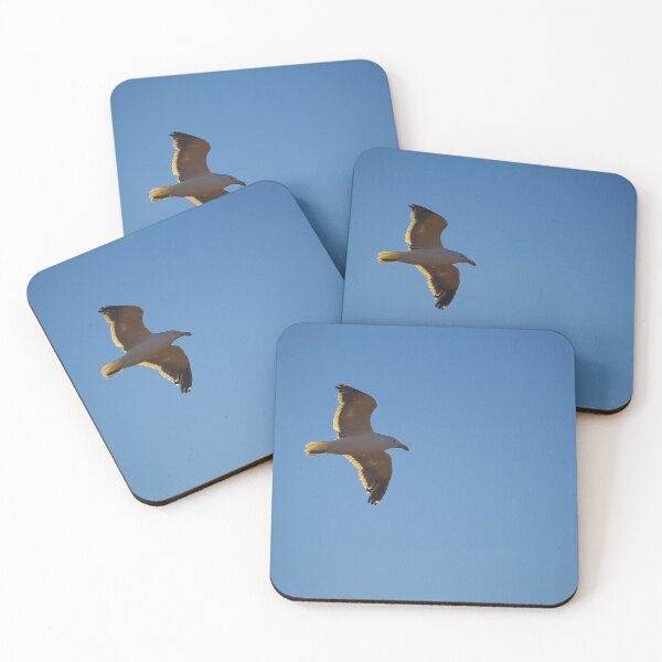 Item preview, South African Seagull  designed and sold by Landscapology.